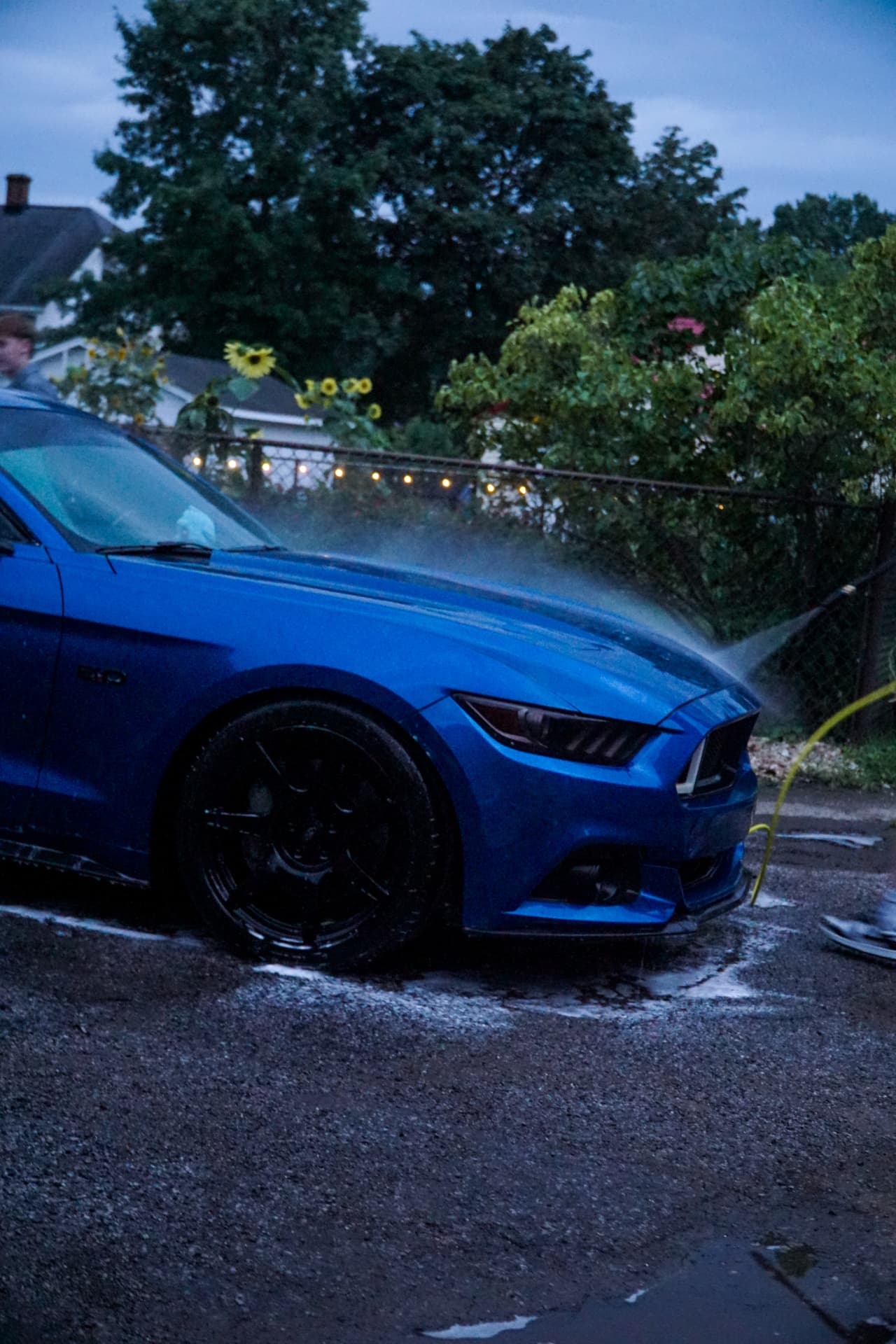 Final Rinse