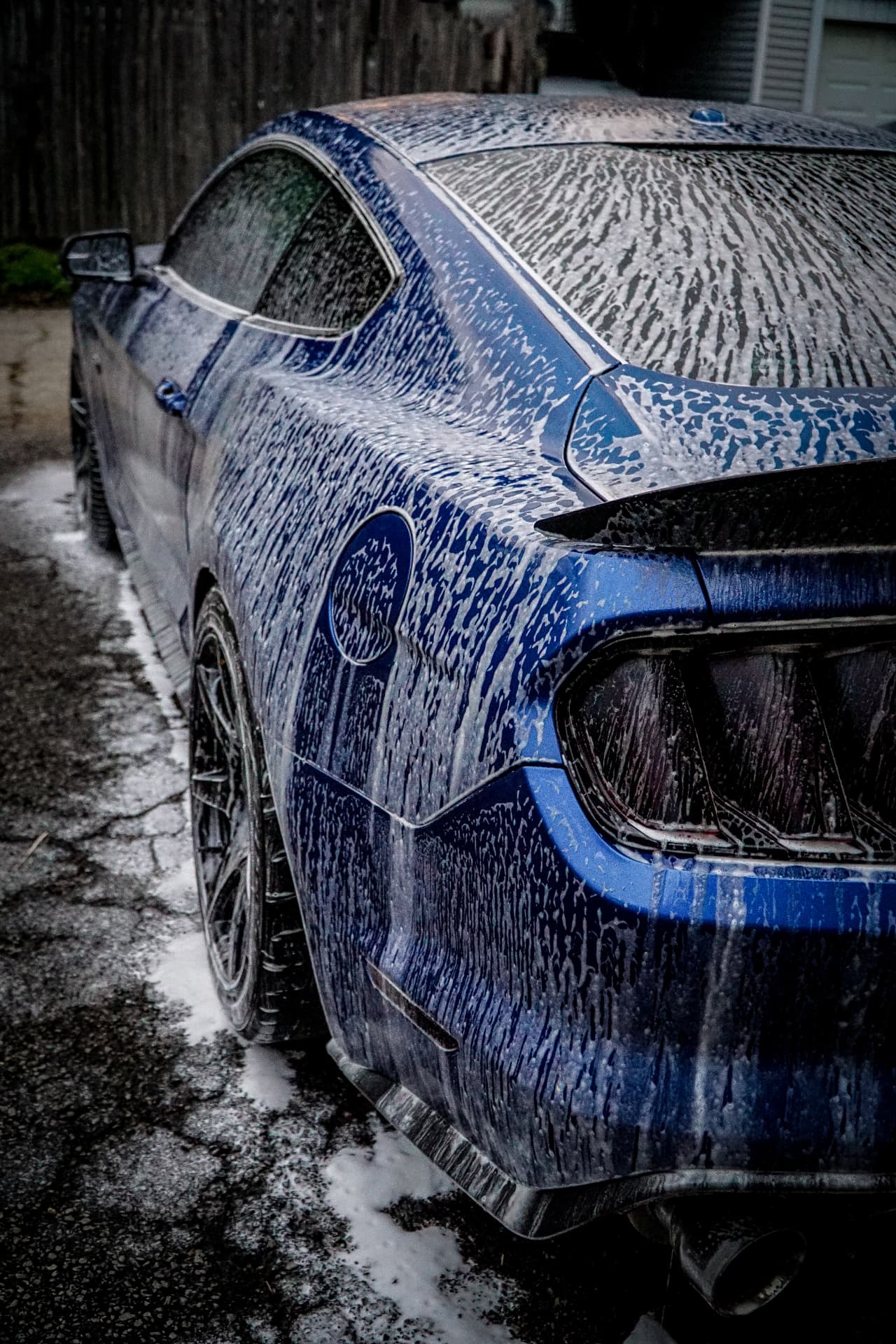 Rear End Detail