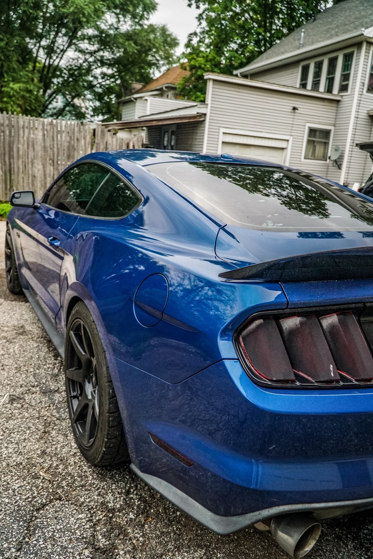 Gloss Finish