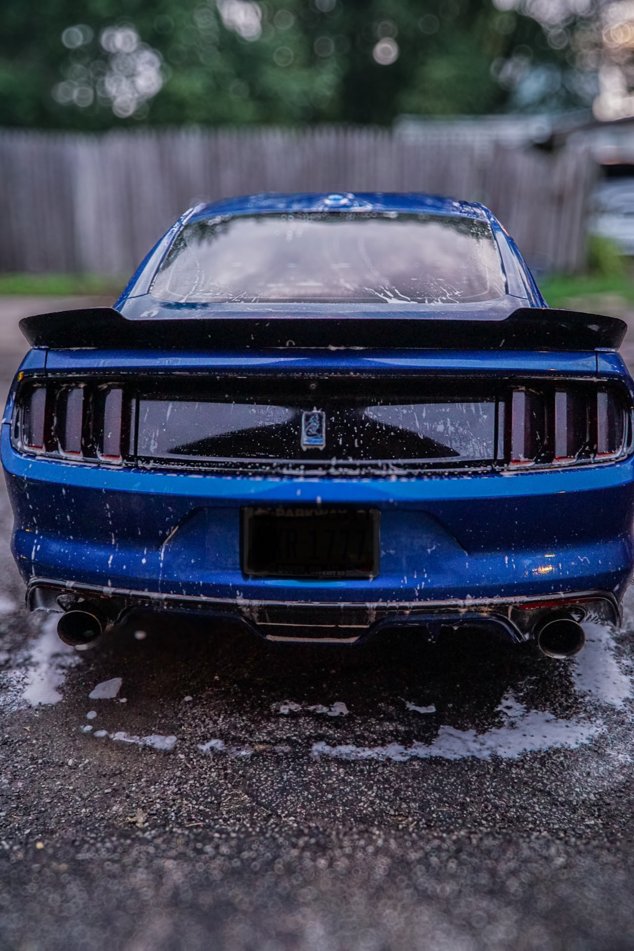 Clean Rear Profile